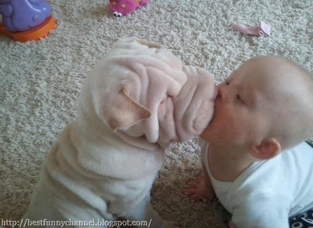 Baby and dog .