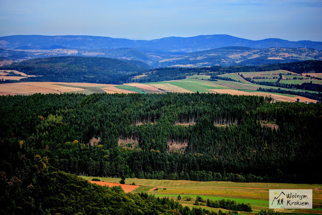 Pielgrzym Park Narodowy Gór Stołowych