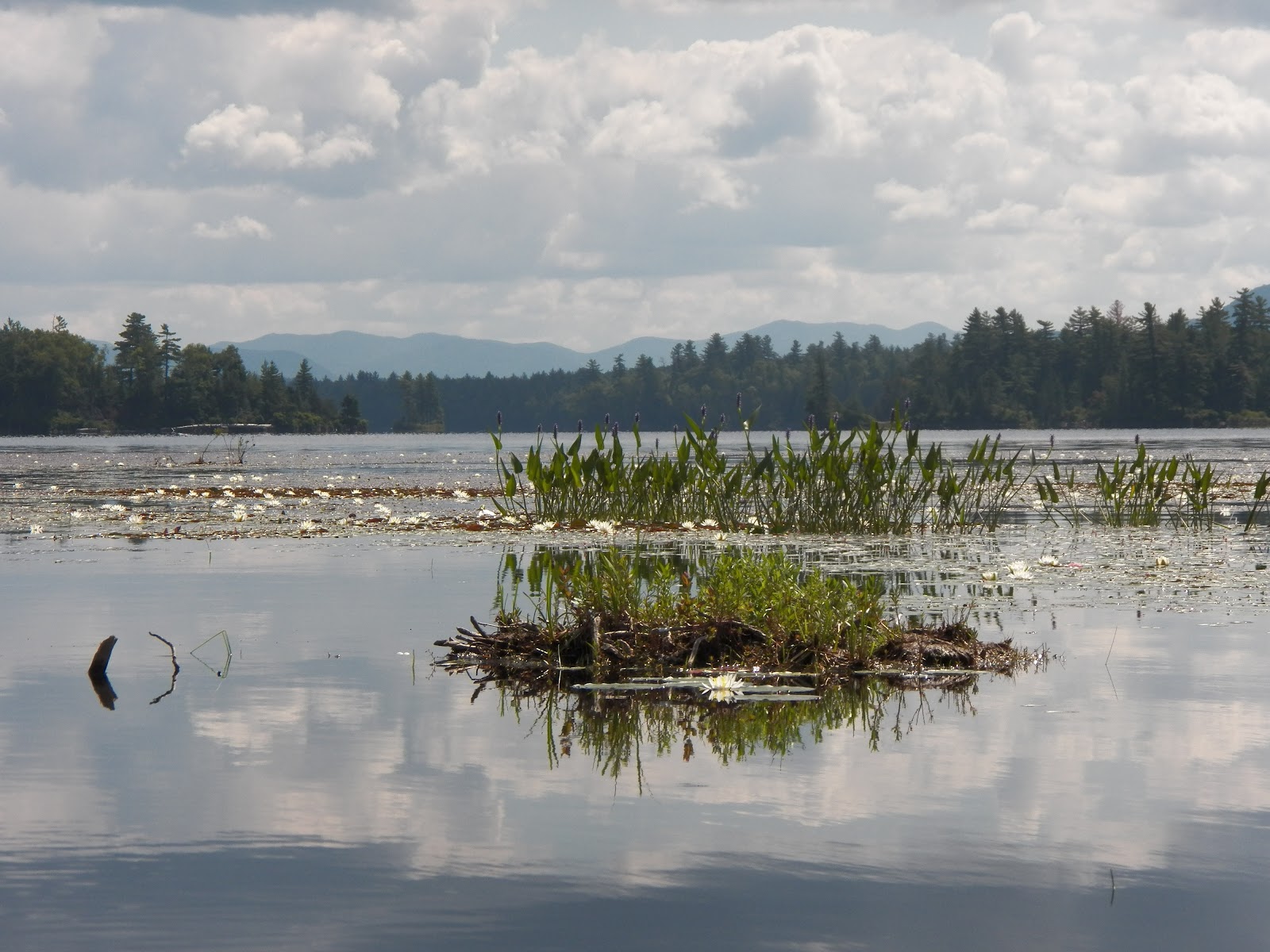 Quiet Kayaking in New York State: Forked Lake, part two