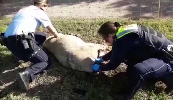 Genussbereit Slow Food Bochum Krauterwanderung Uber Den Tippelsberg