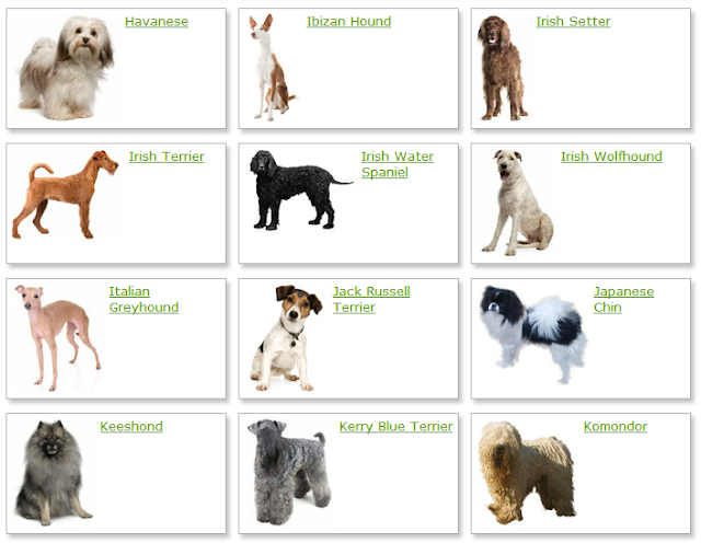 Dog Breeds List With Picture