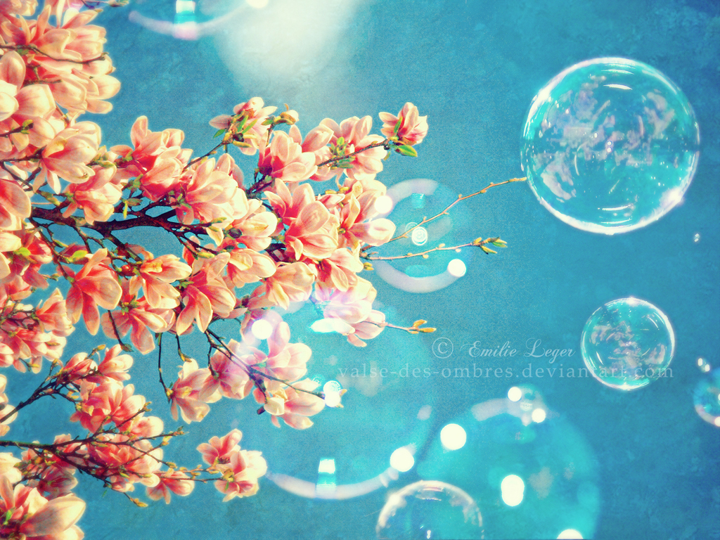 Spring Season Wallpapers | Desktop Wallpapers