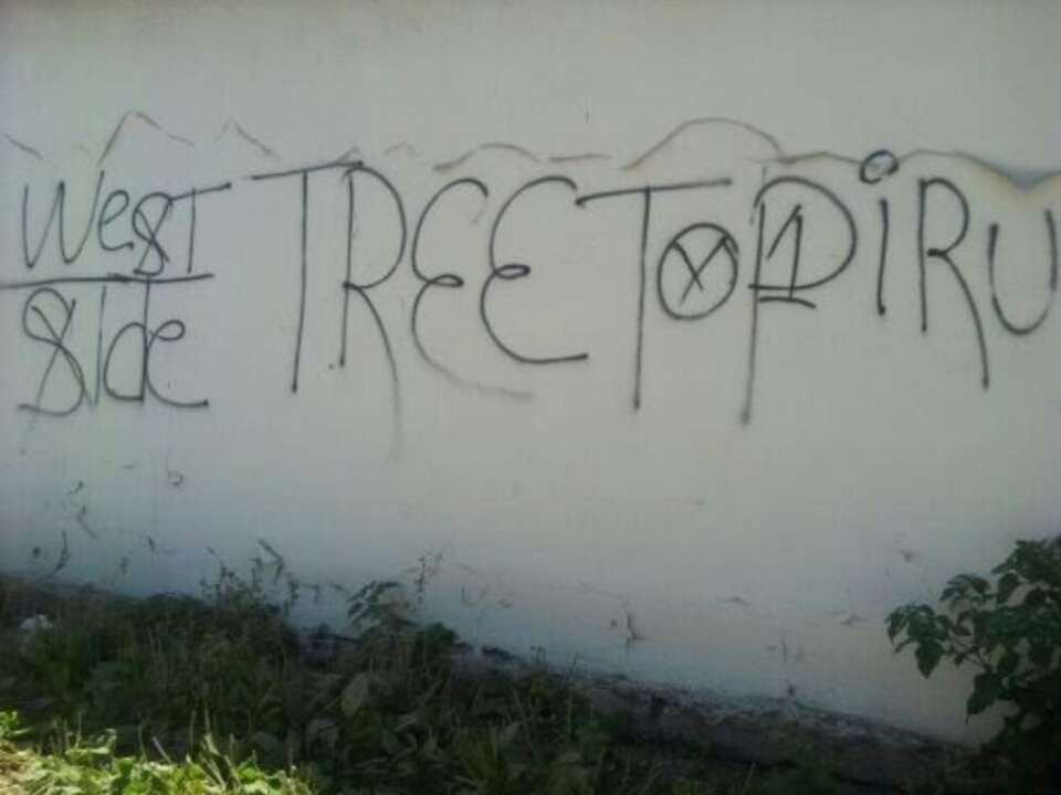 Tree Top Piru Graffiti