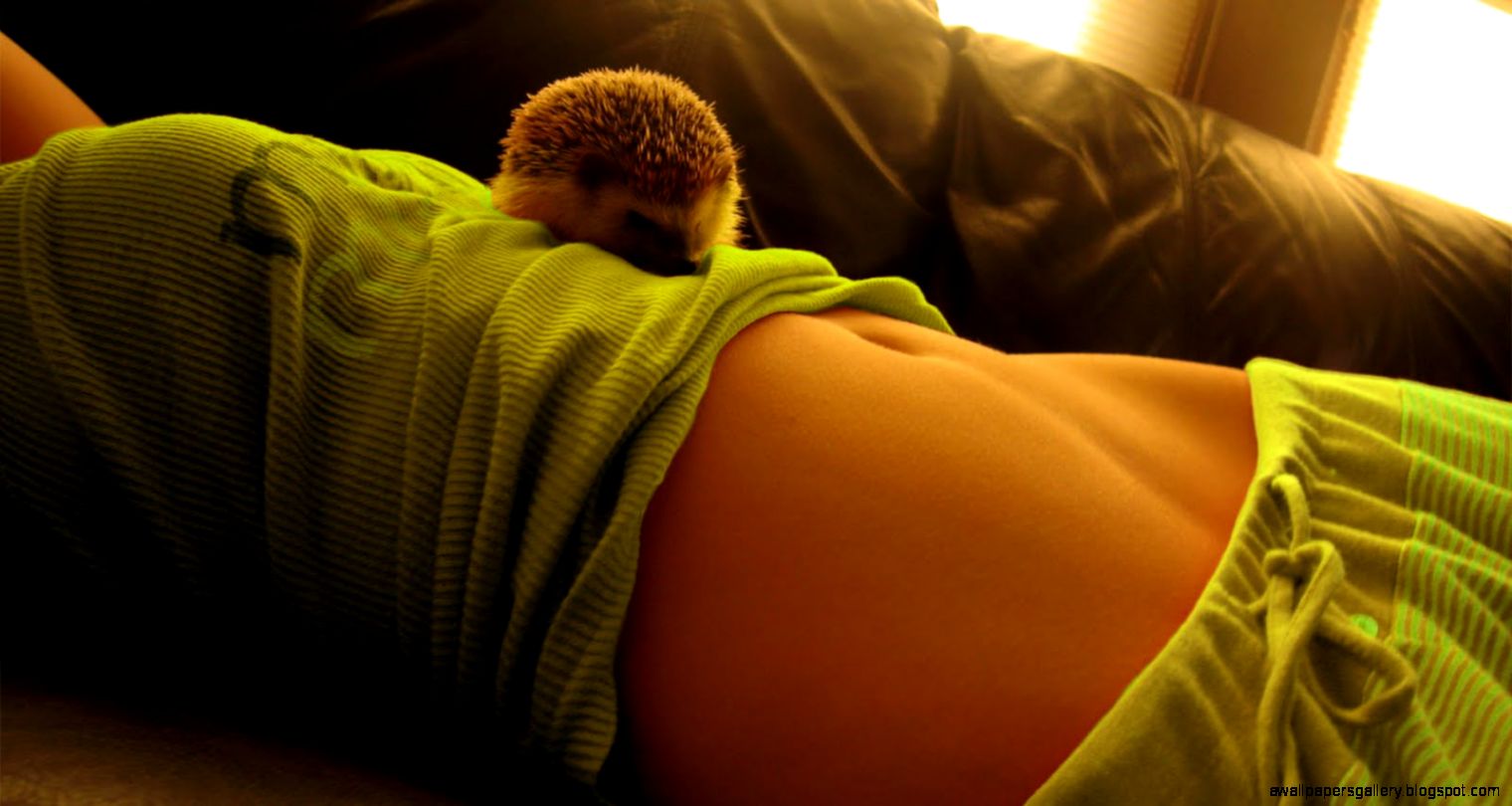 Wallpaper HD E  Wallpaper HD