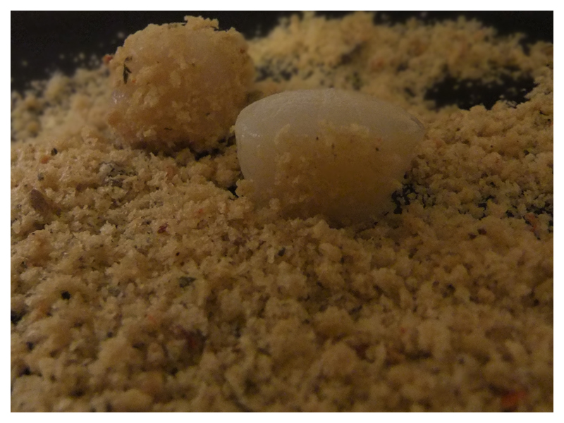 Aglio e Cipolle Scallops Meuniere