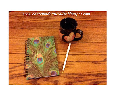 photo of a notebook, a pen, and a cup of coffee