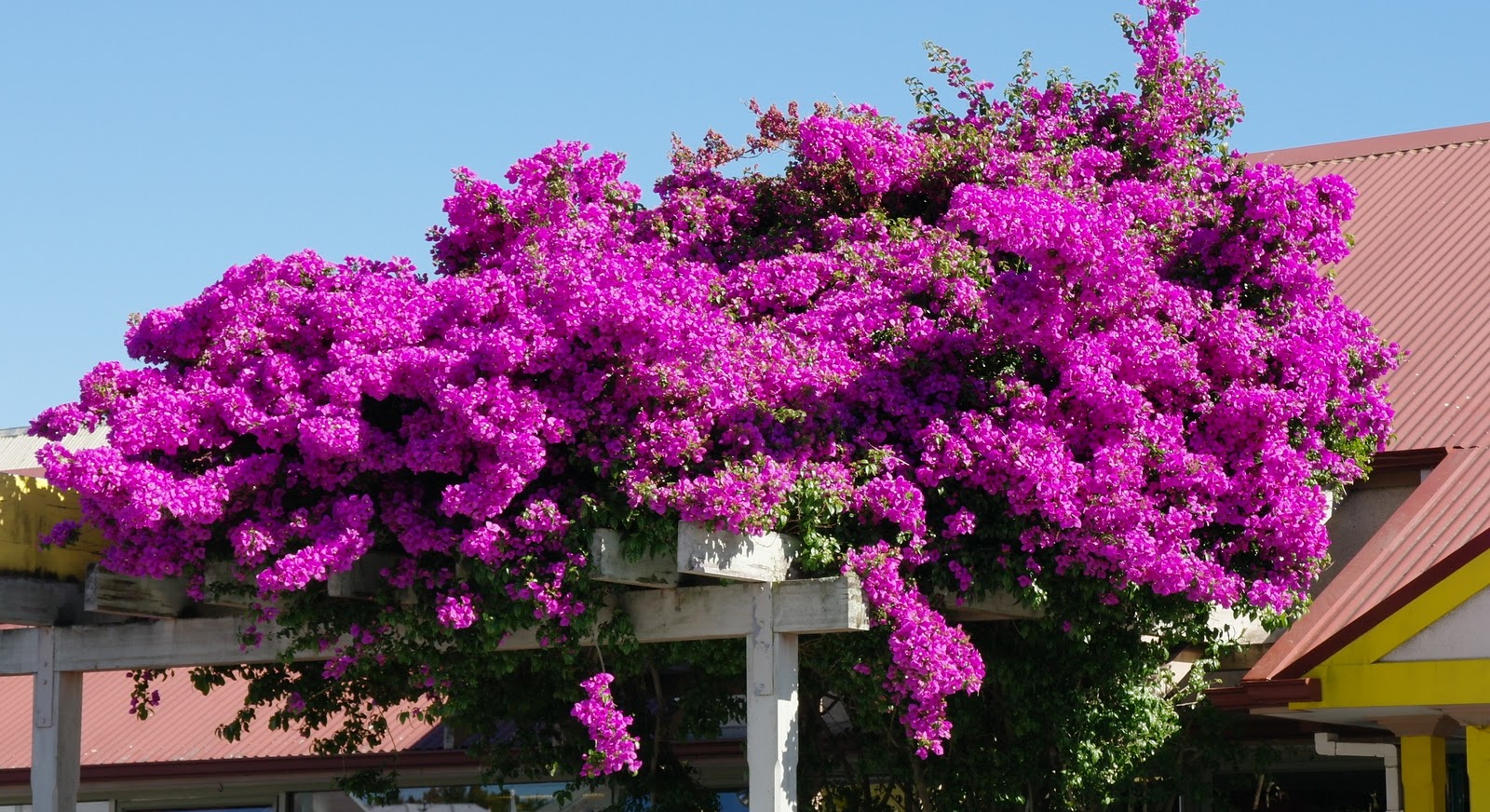 A Blog on the Landscape! Nelson City.