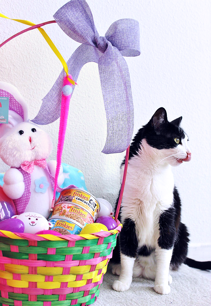 Momma Told Me Affordable Ways To Celebrate Easter With Pets 5 D.I.Y