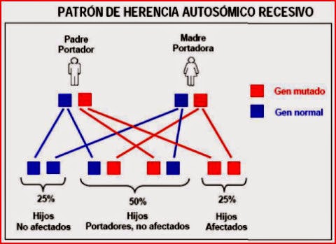 síntomas de diabetes arsacs