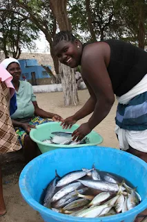 Selling fresh fish in Africa to make Egusi Smoked Fish Stew