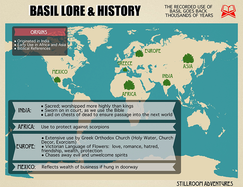History, Lore and Magic of Basil