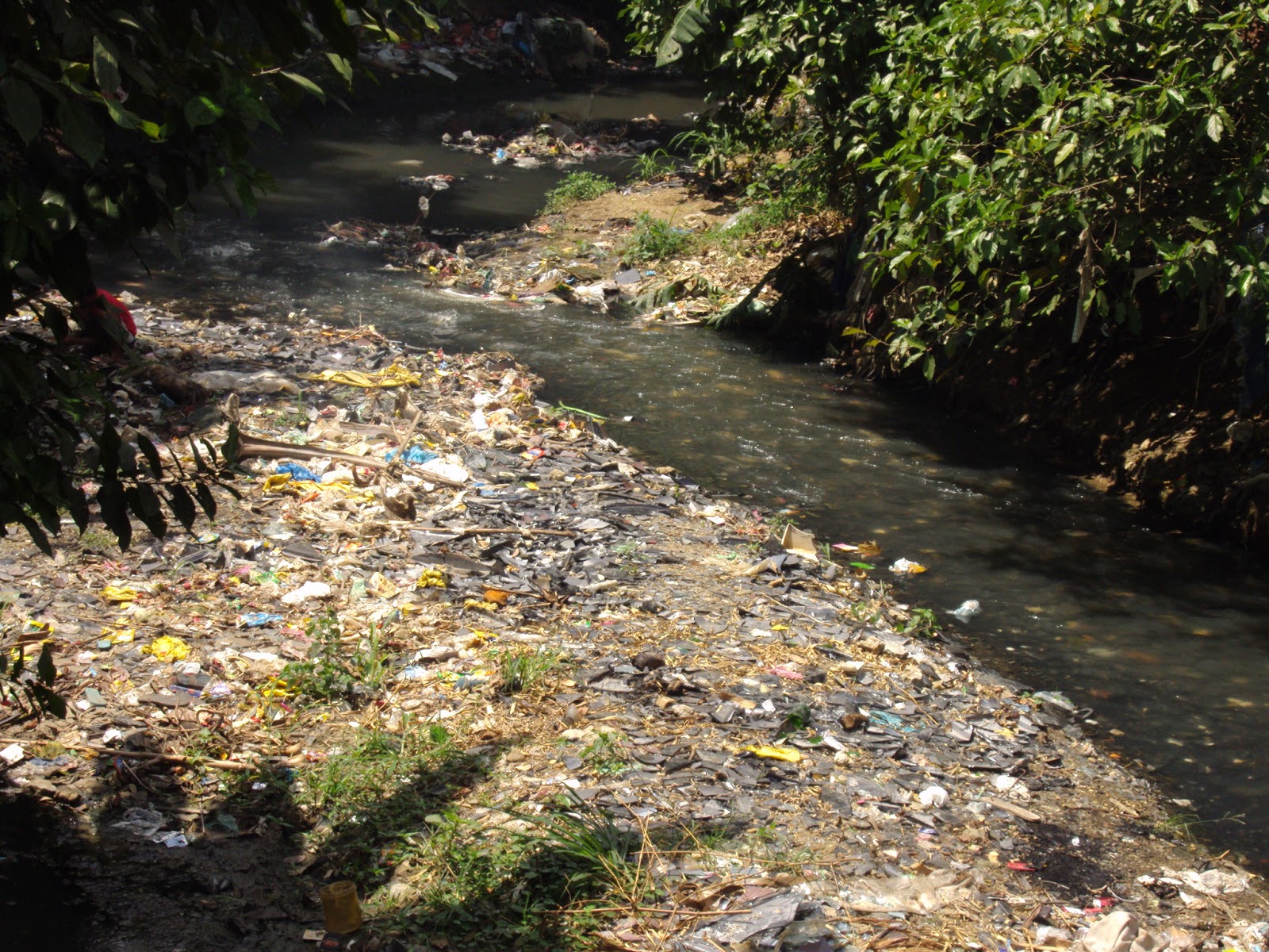 Watch Group Lauds Caloocan Barangay for Taking Action vs. Improper E