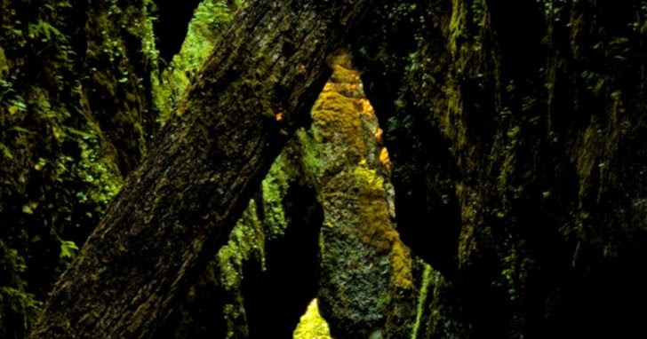 Beautiful Nature Wallpaper Free Download Wallpaper Hd Download For