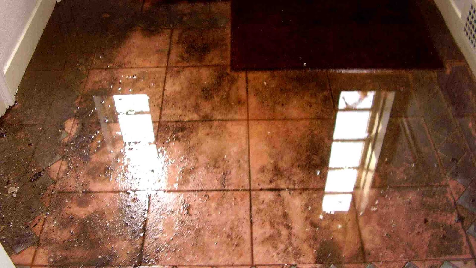 Water Damage In Apartment Damage Choices