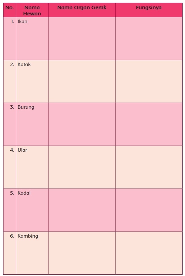 39 Tren Nama Hewan Nama Organ Gerak Dan Fungsinya Katak