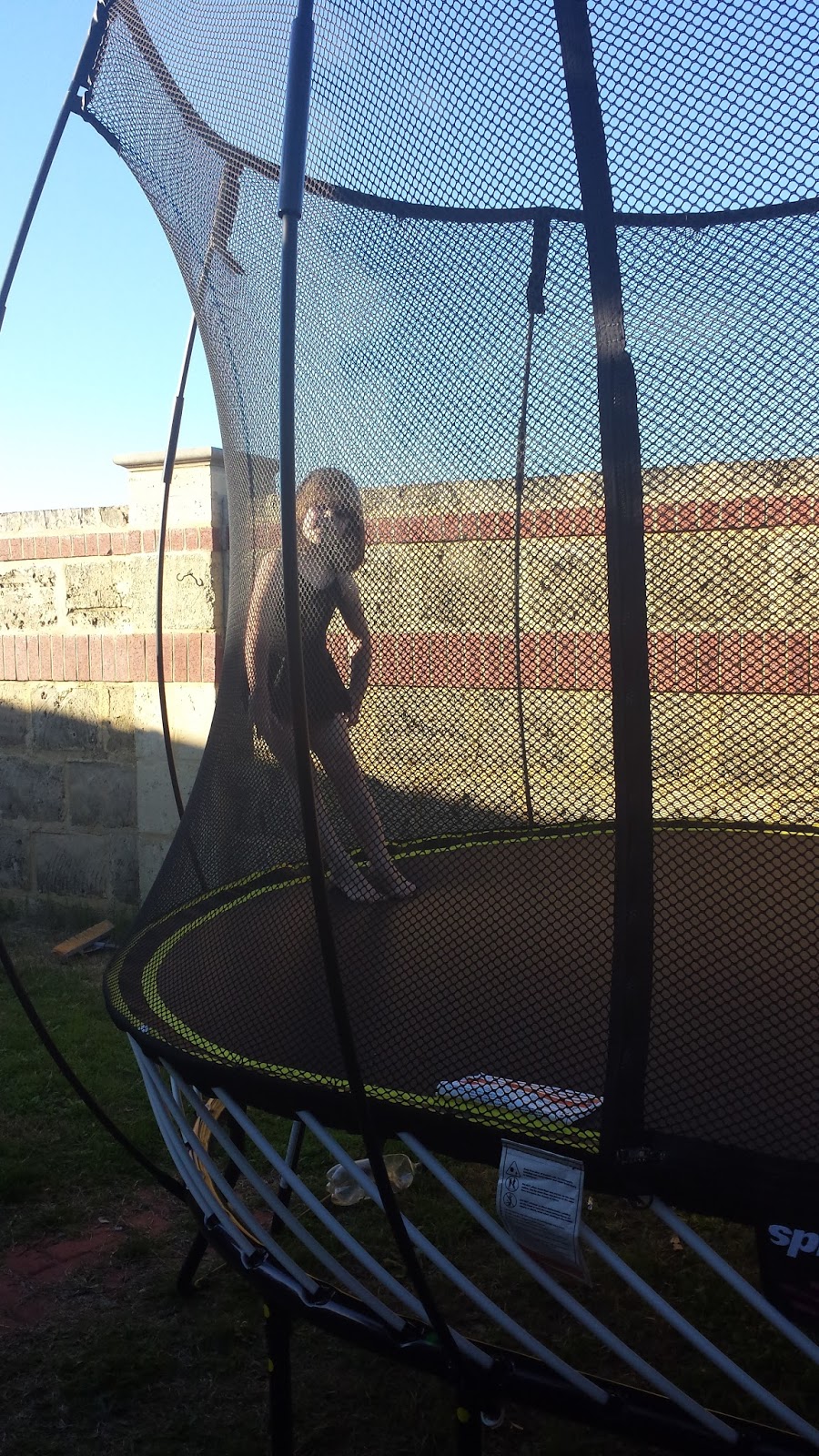 It's The Little Things Springfree Trampolines and Special Needs Kids