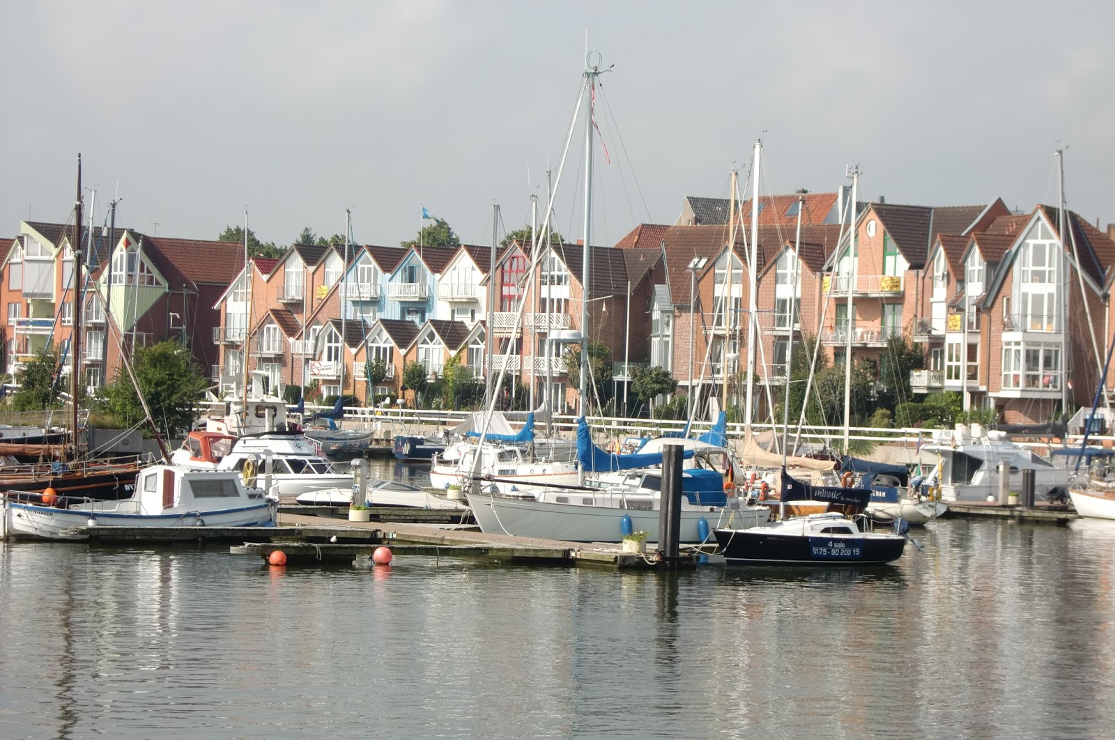 Bild von frischen Beeren