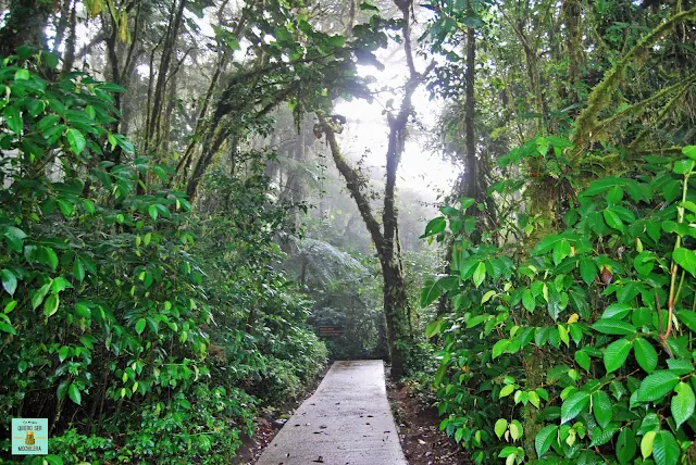 Reserva Bosque Nuboso Santa Elena, Costa Rica