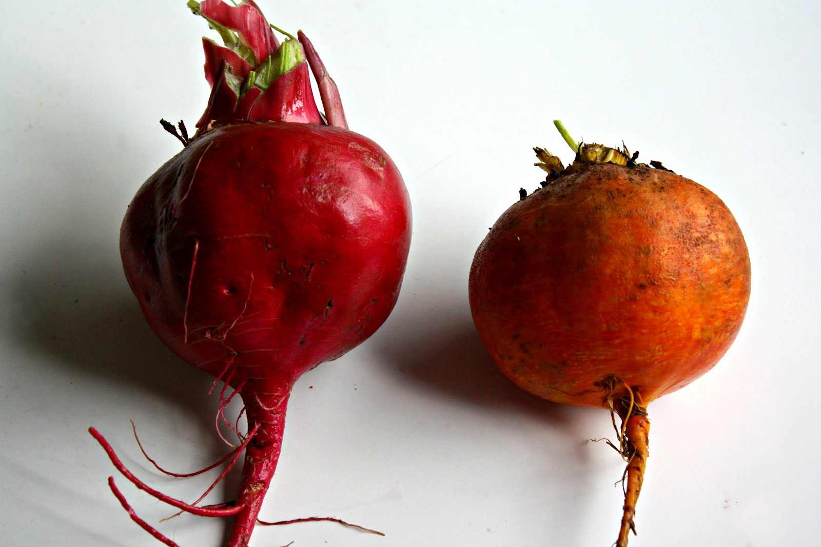 Rah Cha Chow SOS for Yummy Turnip Recipes