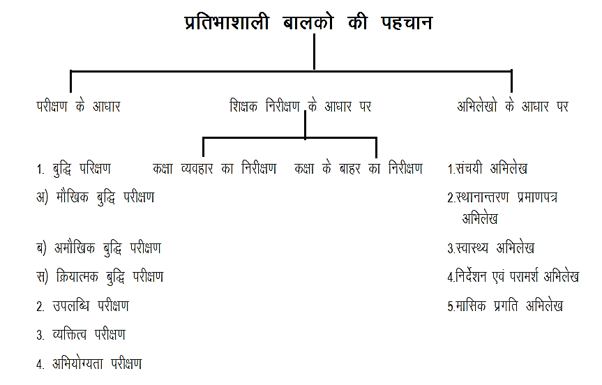 प्रतिभाशाली बालको की पहचान प्रतिभाशाली बालको की पहचान