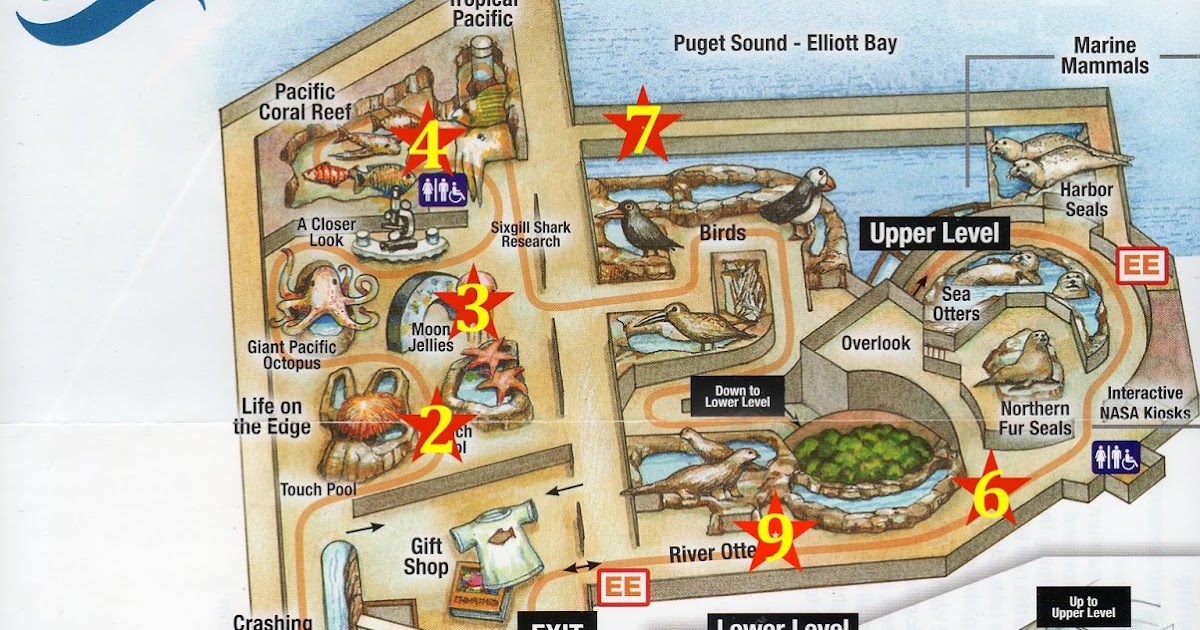 randuwa Spring Break Redux The Seattle Aquarium