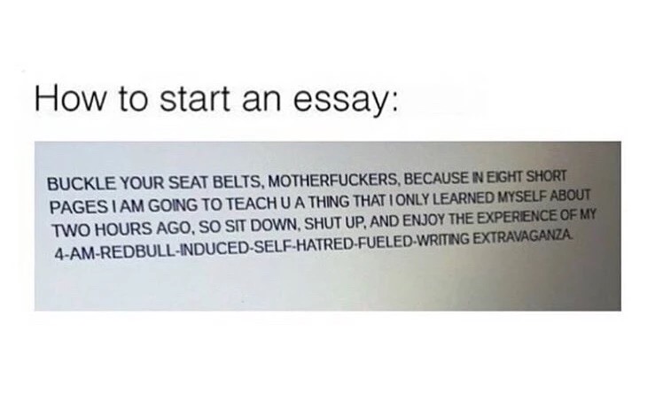 Skip S House Of Chaos How To Start An Essay