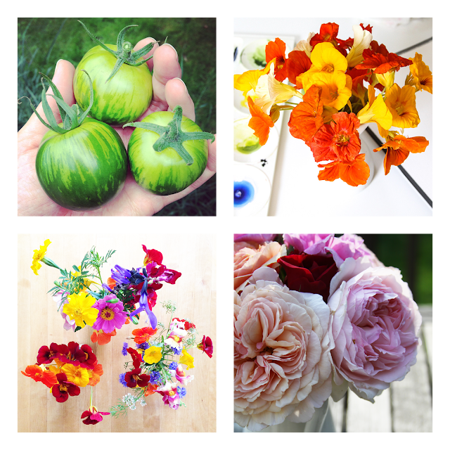 summer, flowers, tomatoes, joy, Anne Butera, My Giant Strawberry