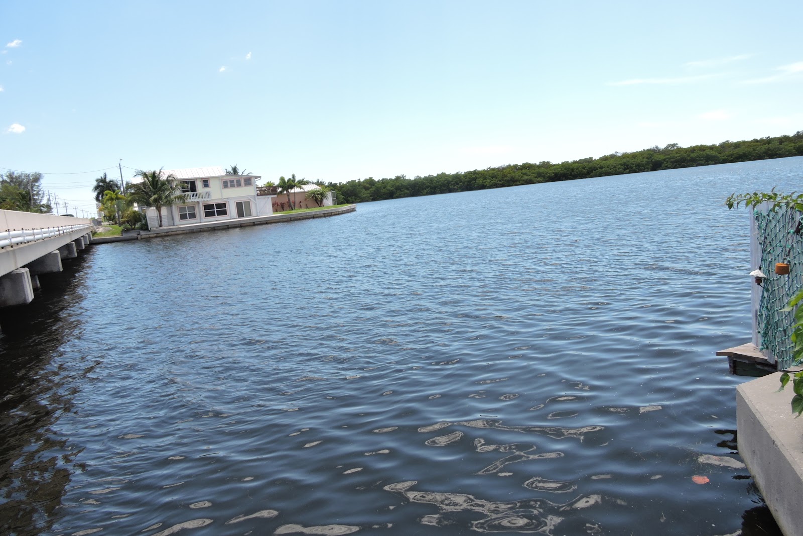 CASAS Y APTOS DE VENTA EN SARASOTA