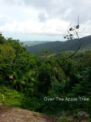 Puerto Rico, Wordless Wednesday by Over The Apple Tree