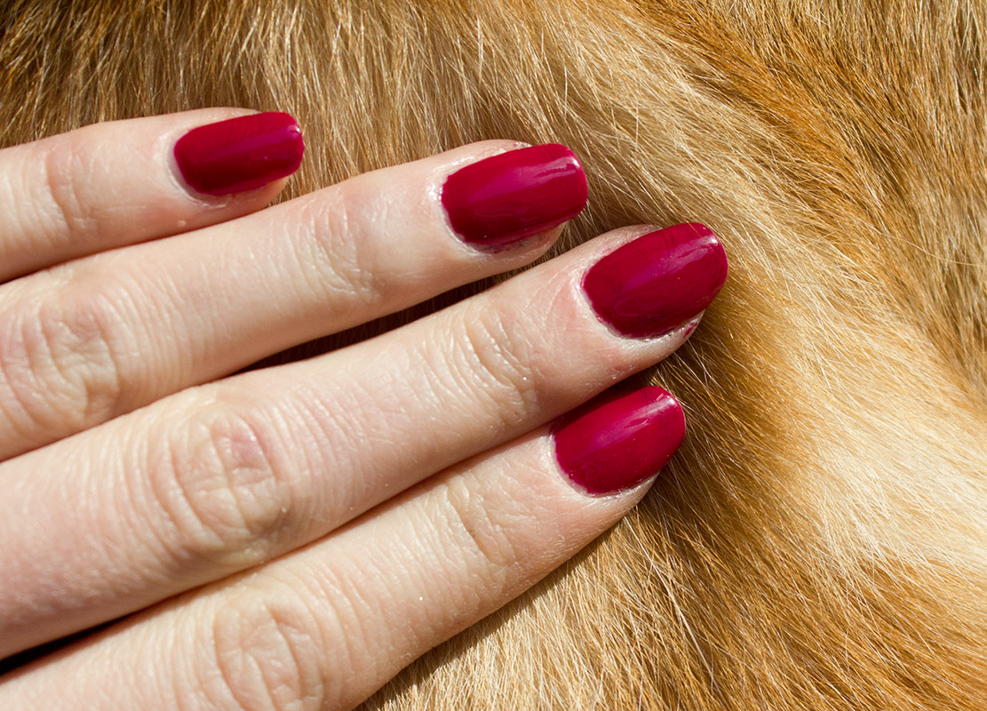 All Categories Unbound