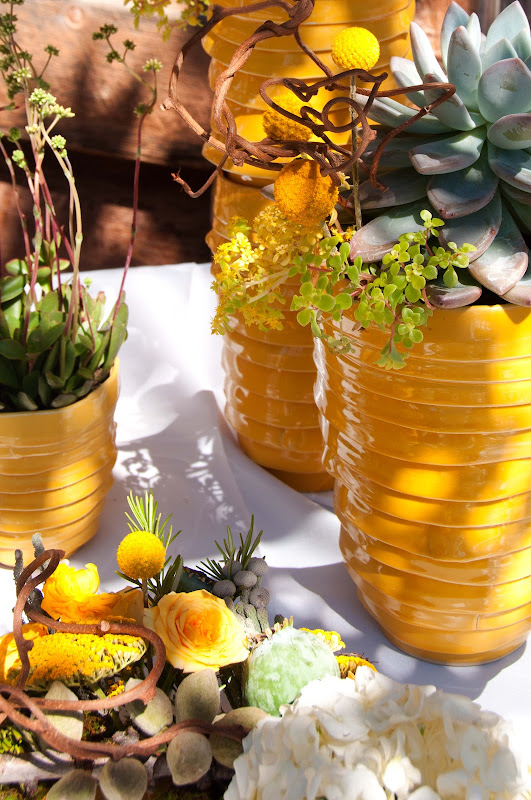 gold ceramic vessels potted with succulents for the buffet this great 