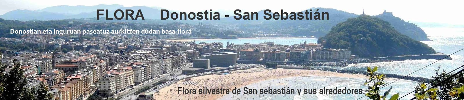 _____ FLORA ___     Donostia-San Sebastián