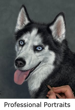 Commission a  custom portrait of your pet!