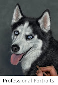 Commission a  custom portrait of your pet!