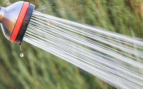 Tree planting deep watering for root development