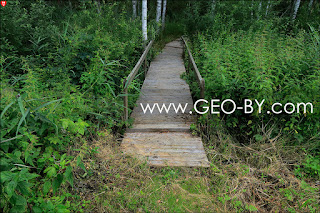 Налибокская пуща. Экологическая тропа Сябрыньский перекресток. Деревянный мост через канал