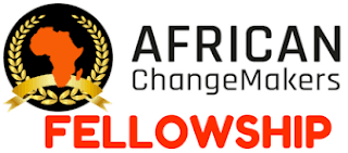 African ChangeMakers Fellowship