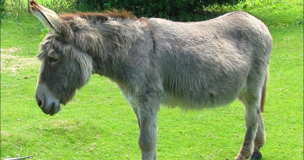 TBW Depraved and demonic Fifteen teenagers who sexually assaulted a