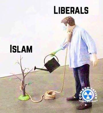 Islam%2Band%2BLiberals.jpg