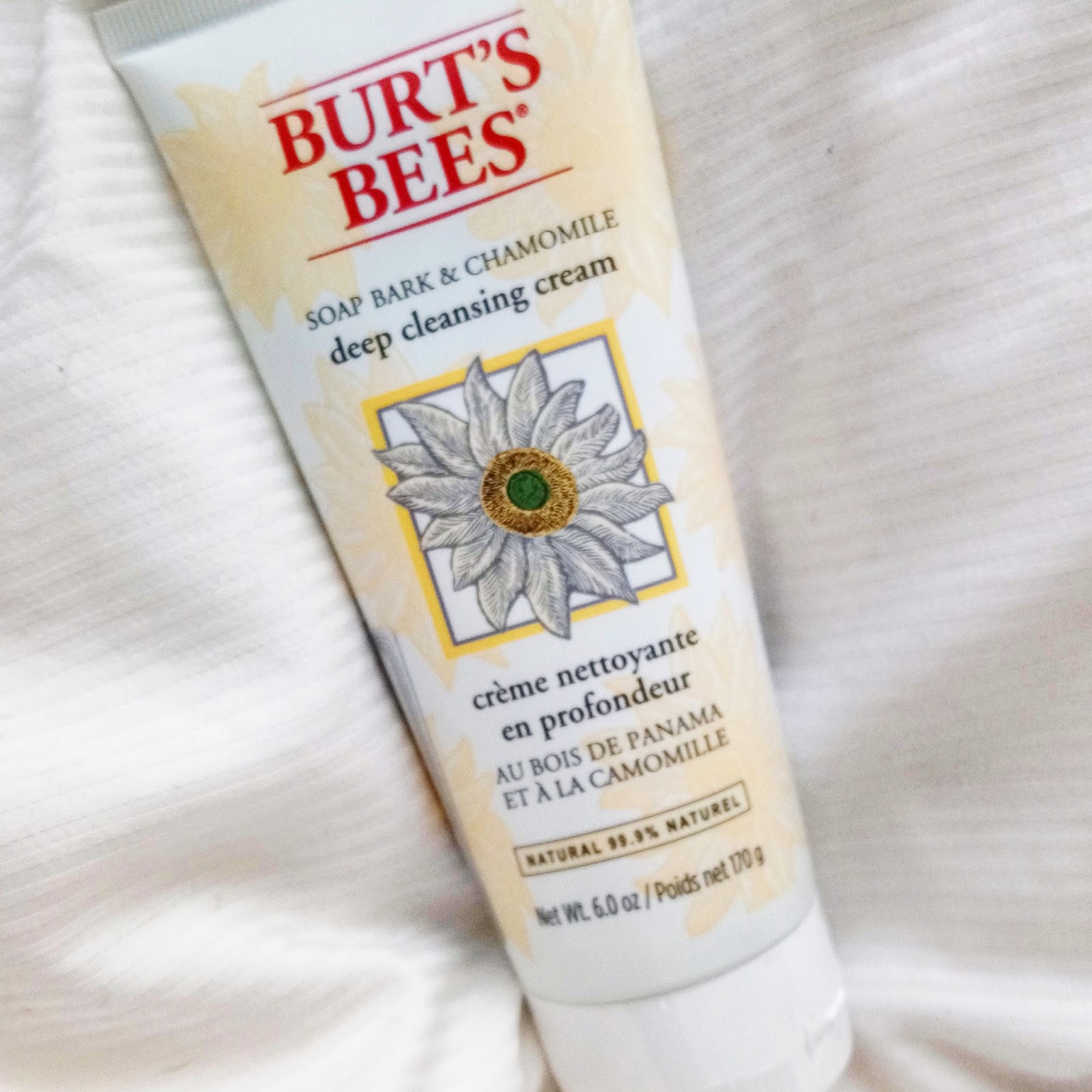 Honeypot Blogs Burt's Bees Deep Cleansing Cream Beauty