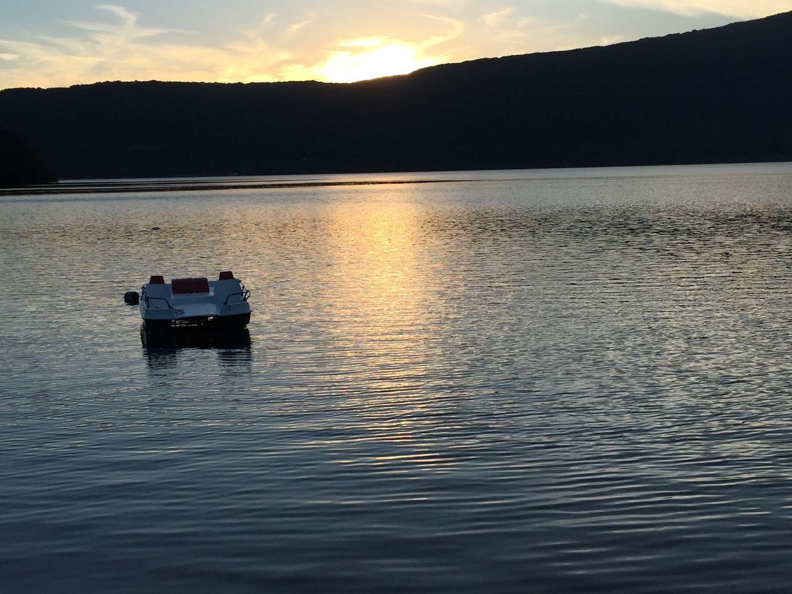 Scandinavian Fancy Windows