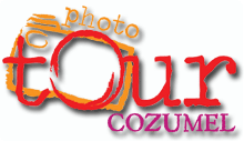 PHOTO TOUR COZUMEL < walks, talks & short courses