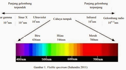 Tentang Warna Tentang Warna