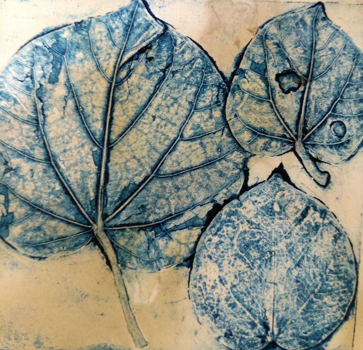 Sandra Pearce Collagraphs with Plants and Friends