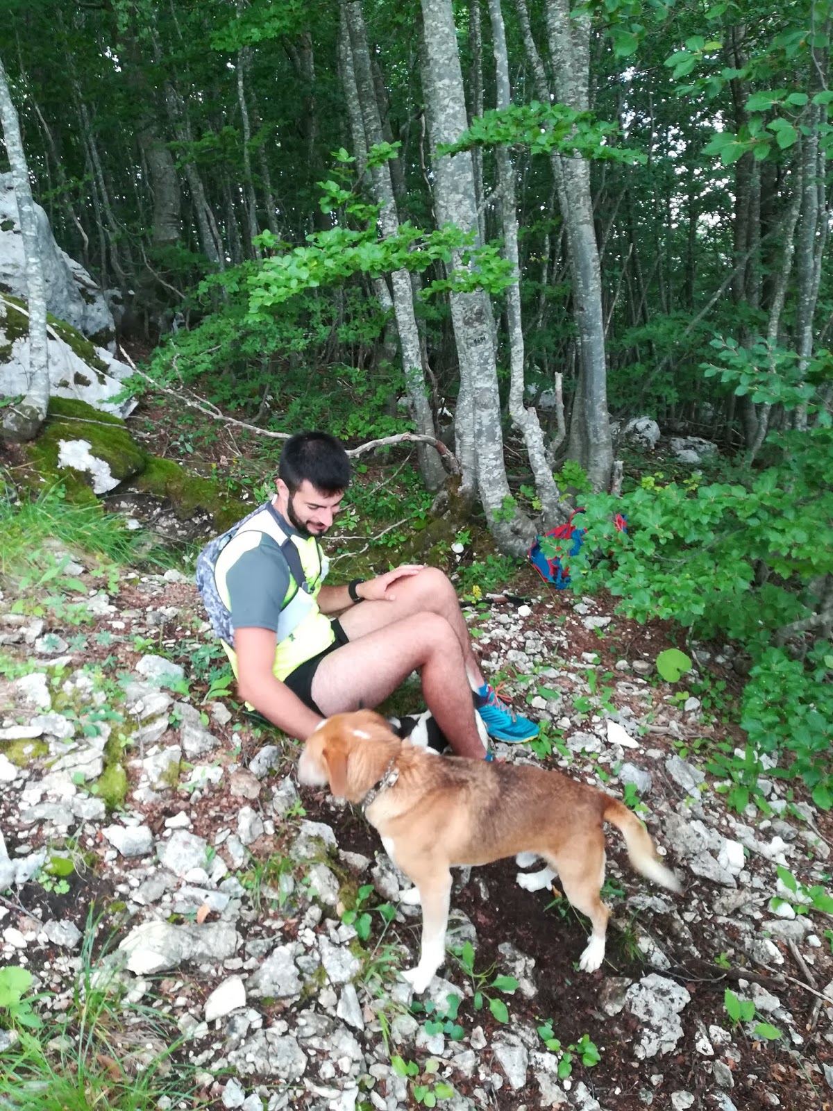 preciso va in montagna