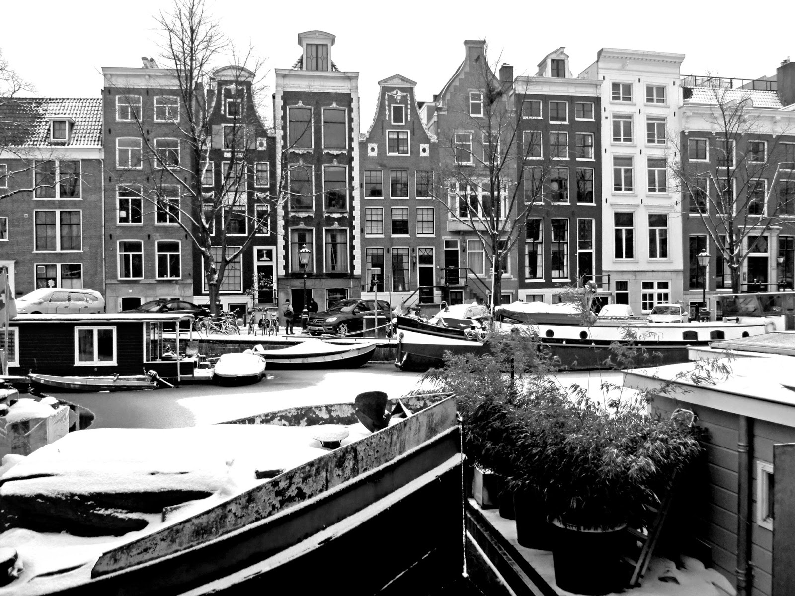 "het leven is geen zoete krentenbol" - Laura goes Holland