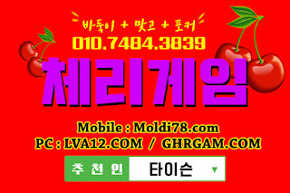 원탁의신게임,체리모바일,원탁게임,엠엘비게임,오라클게임,체리게임,초코볼게임,바둑이게임 원탁의신게임,체리모바일,원탁게임,엠엘비게임,오라클게임,체리게임,초코볼게임,바둑이게임