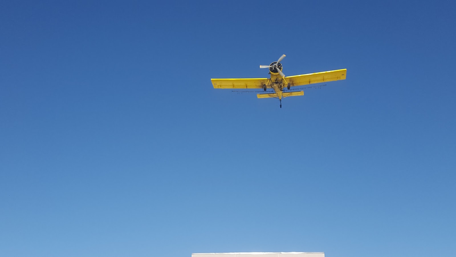 Wheatland Wyoming Car Sales