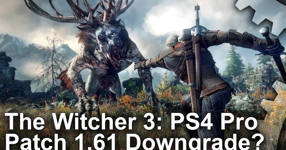 the-witcher-3-ps4-pro-gamers-field