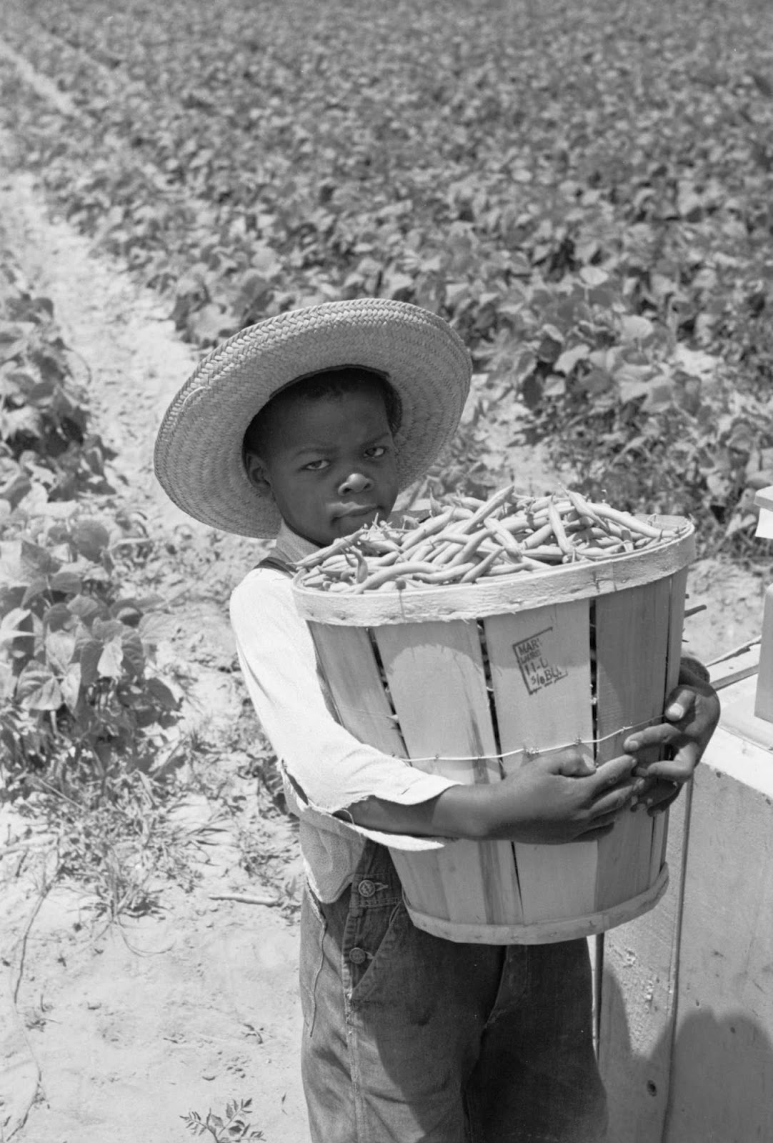 25 Vintage Photographs Capture Daily Life of American